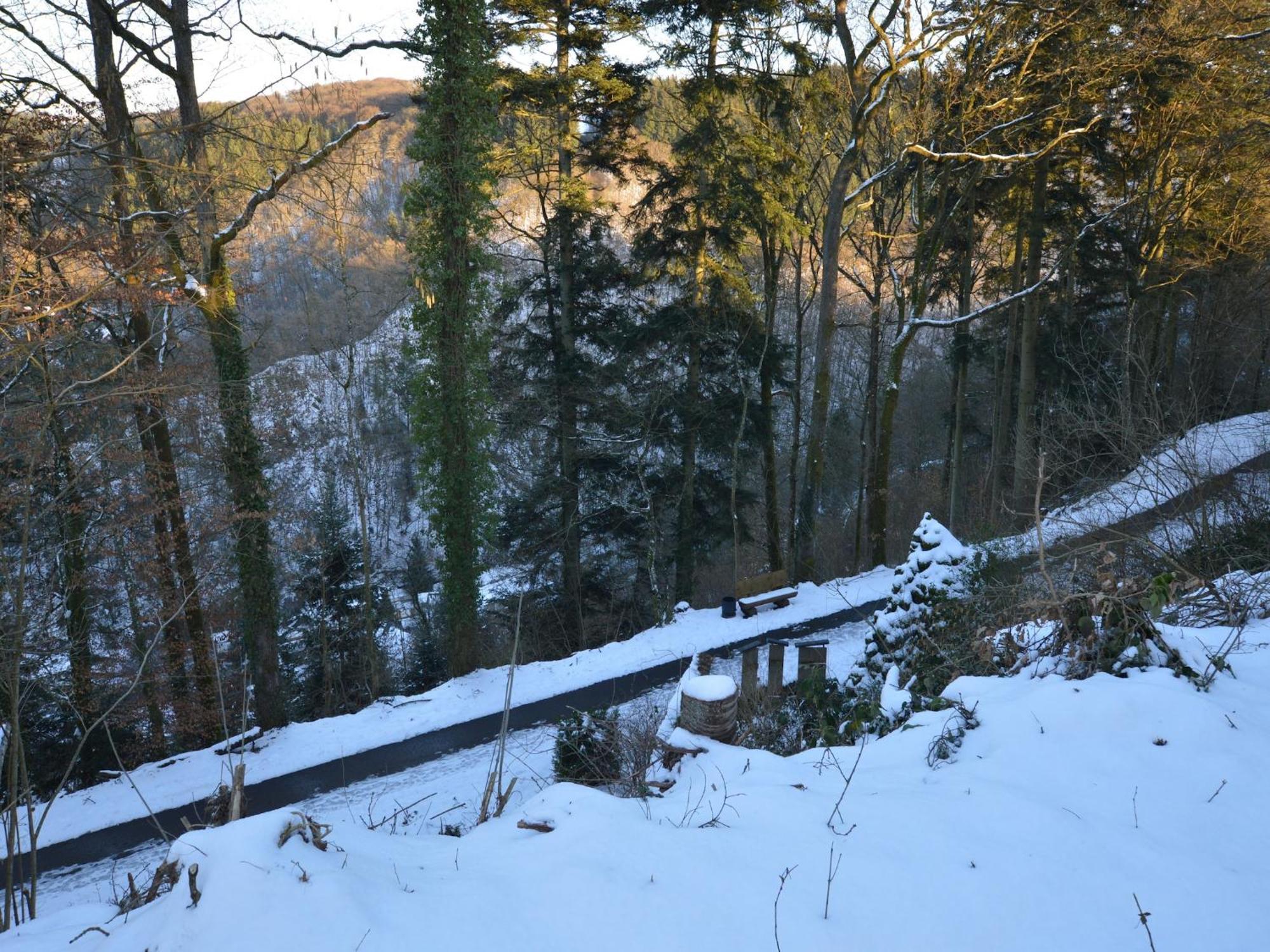 Cosy Apartment In Manderscheid With Balcony エクステリア 写真