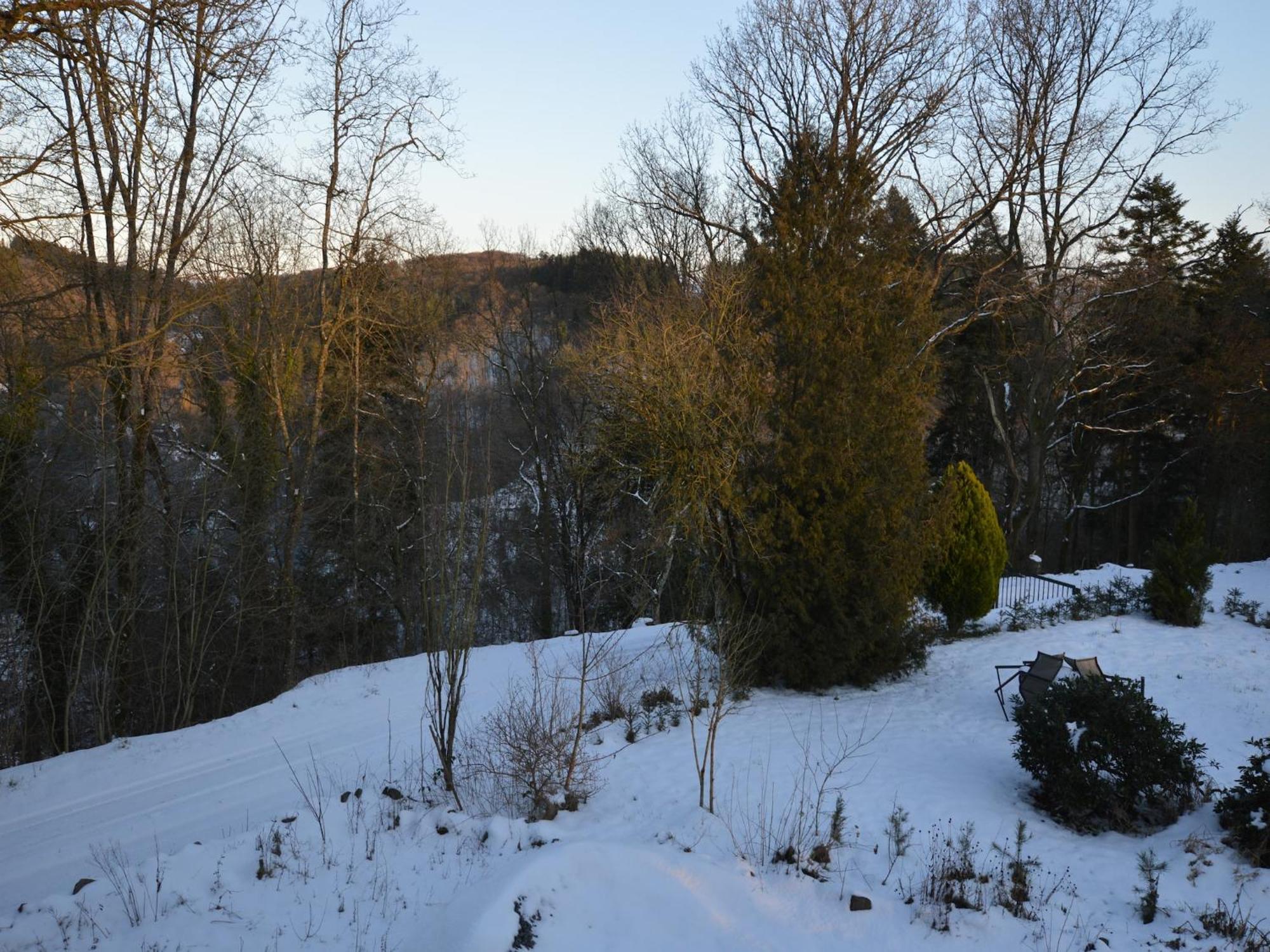 Cosy Apartment In Manderscheid With Balcony エクステリア 写真